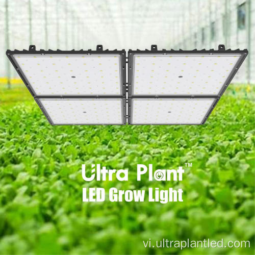 Ánh sáng phát triển LED 660nm nâng cao để ra hoa